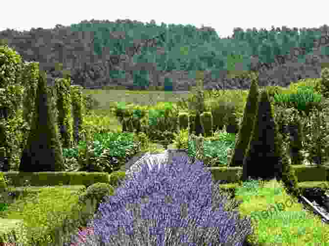 A Panoramic View Of The Aromatic Gardens Of L'Occitane In Provence, France The Essence Of Provence: The Story Of L Occitane