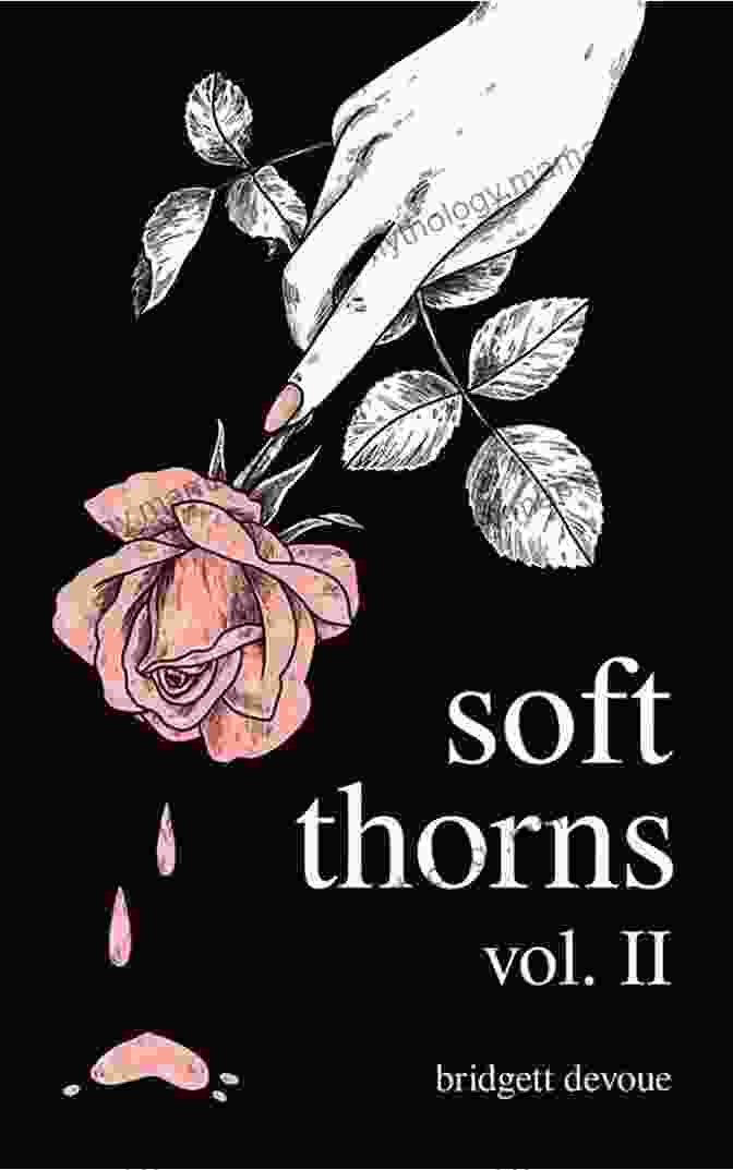 A Photograph Of The Book Soft Thorns Vol. II By Levi Peretz, Featuring A Close Up Of The Cover With Thorns And A Single Rose Soft Thorns Vol II Levi Peretz