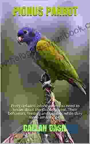 PIONUS PARROT: Every Detailed Information You Need To Know About The Pionus Parrot Their Behaviors Feeding And Reasons While They Make Amazing Pet