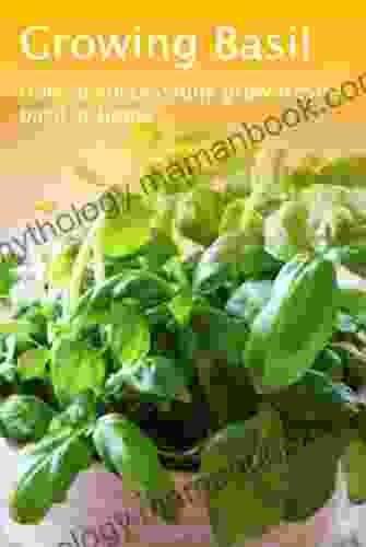Growing Basil (Growing Herbs 1)